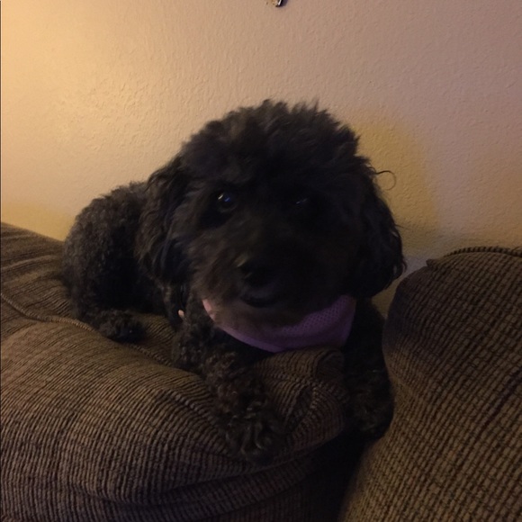 Meet your Posher, Erin - Picture 1 of 1